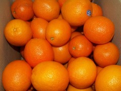 Апельсины - источник витамина А!