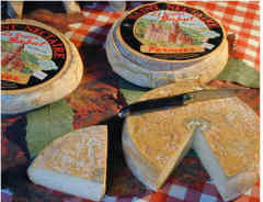 Попробуйте сен-нектэр, представьте себе всю красоту и щедрость природы Мон Дор...