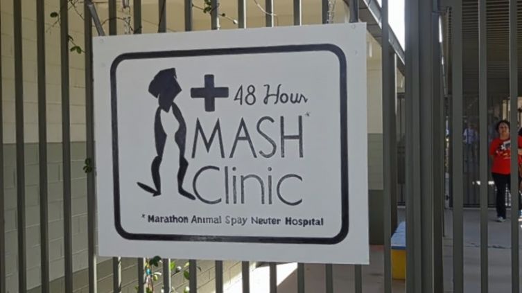 Временный госпиталь для животных