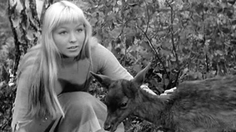 Как Олеся знахаркой стала? 