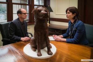 Какие сериалы смотреть с июня? «Изгой», «Смерть мозга», «Крушение»