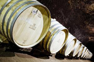 Что помогает создавать токайское вино?