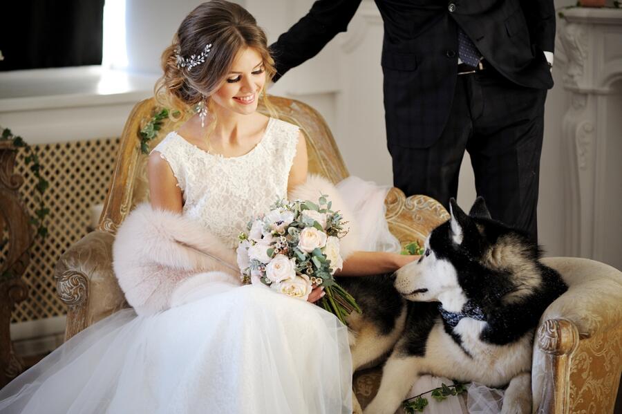 Зимняя свадьба