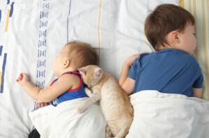 Русские народные колыбельные: какие животные навещали малышей перед сном?