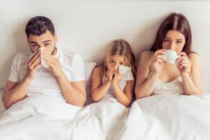 Как не заразить домочадцев, если вы заболели простудой и гриппом?