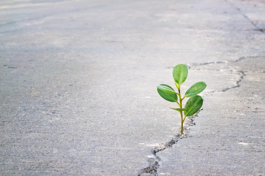 Книга «Под давлением» - простой самоучитель по борьбе с напряжением