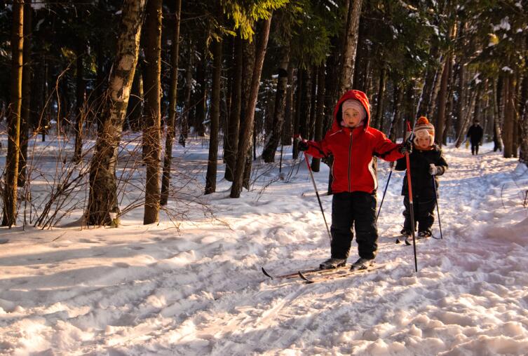 В какой спорт отдать ребенка? Лыжи как панацея