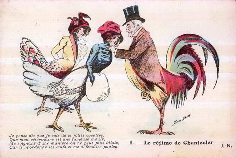 Год Петуха. Почему обижают курицу?