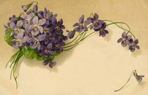 Зима, любовь и фиалки. Как вернуться в прошлое?