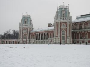 Царицыно зимой. Какие мысли навевает это место?