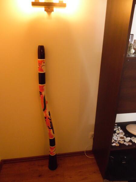 Диджериду. Какой инструмент придумали насекомые и зачем человеку транс?