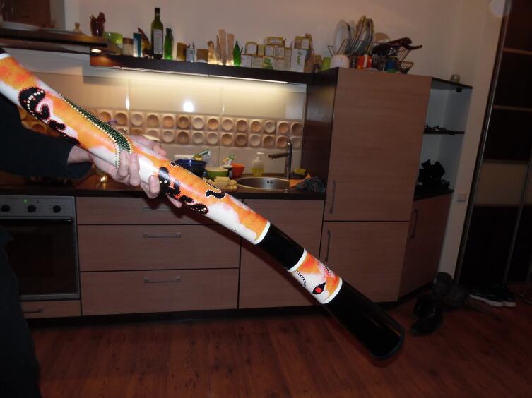 Диджериду. Какой инструмент придумали насекомые и зачем человеку транс?