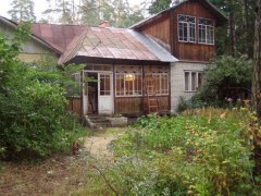 Чем заниматься дачнику в июле в саду, на огороде и в цветнике?