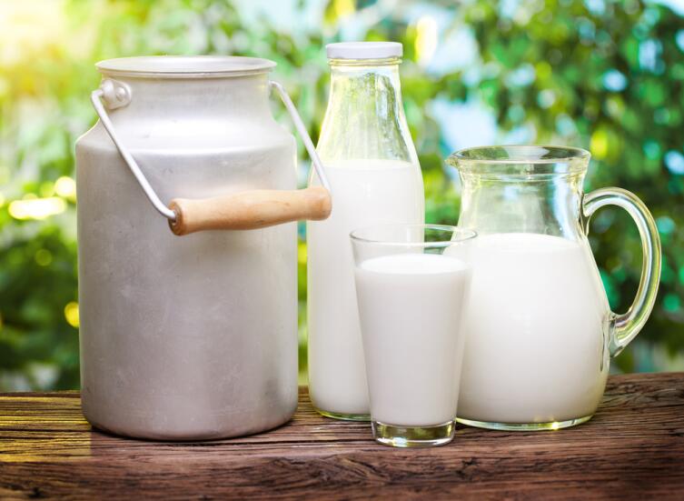 Какими преданиями овеяна история… молока?