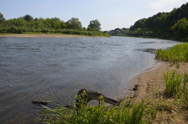 Славгород, Беларусь. Проня впадает в Сож. Славгород, Беларусь. Проня впадает в Сож.