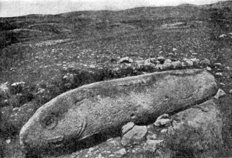 Вишап в форме рыбы (Вишап № 2 стоянки Имирзек Гегамского хребта)