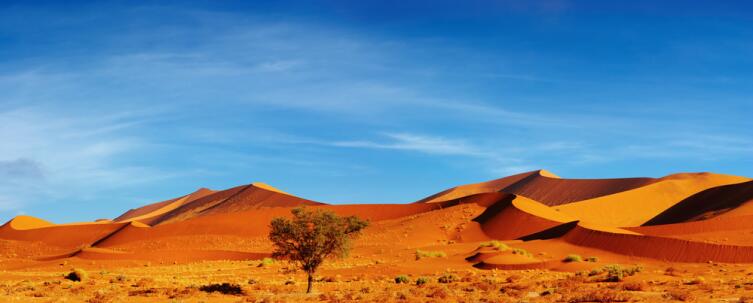 О чём поют пески пустыни Намиб? 1. Живые камни и другие чудеса