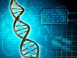 Международный день ДНК. Как создать биокомпьютер?