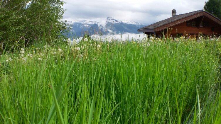 Как отдохнуть в Швейцарии? Альпийская сказка среди гор и озер