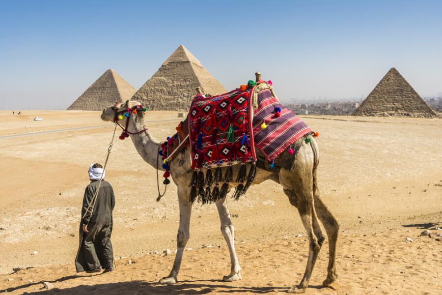 Отдых в Египте: ехать или не ехать? Первые впечатления
