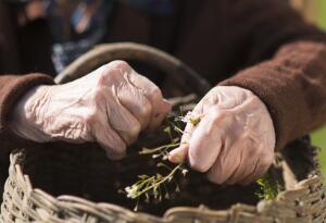 Старушка и огород: понимаем ли мы наших стариков?