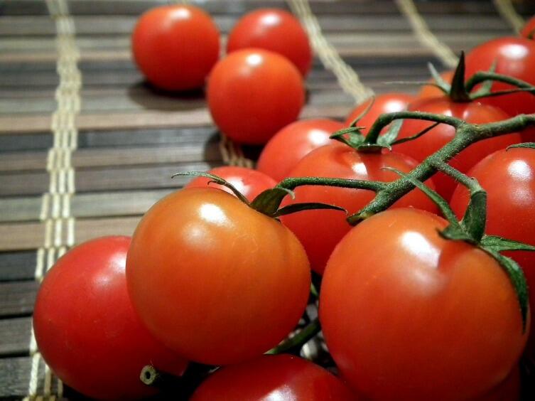 Что надо томату для нормальной жизни?  Хит-парад страхов и желаний томата.