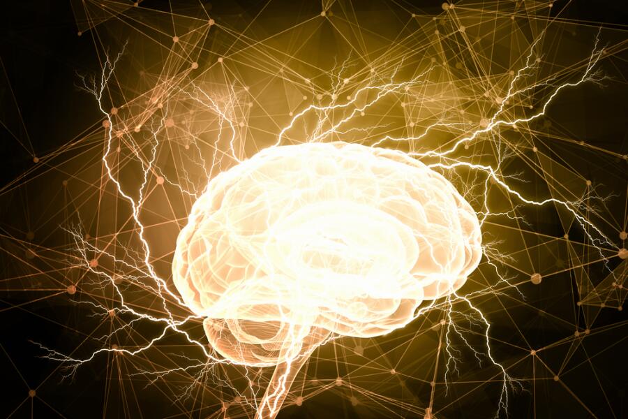 Хосе Дельгадо - «тореадор» мозга, пророк или талантливый нейрохирург? Электричество против шизофрении