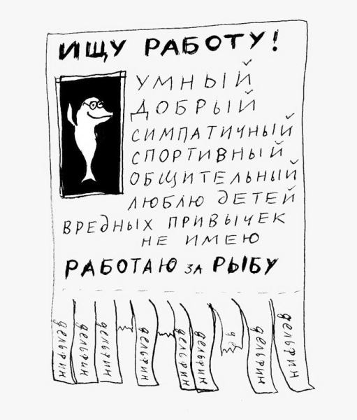 Викторина о китах и дельфинах - 5. А дельфины добрые?