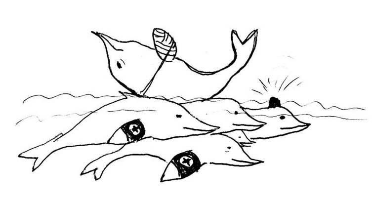 Викторина о китах и дельфинах - 5. А дельфины добрые?