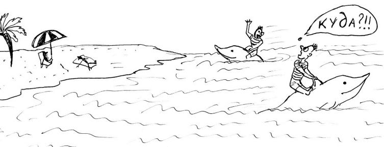 Викторина о китах и дельфинах - 5. А дельфины добрые?