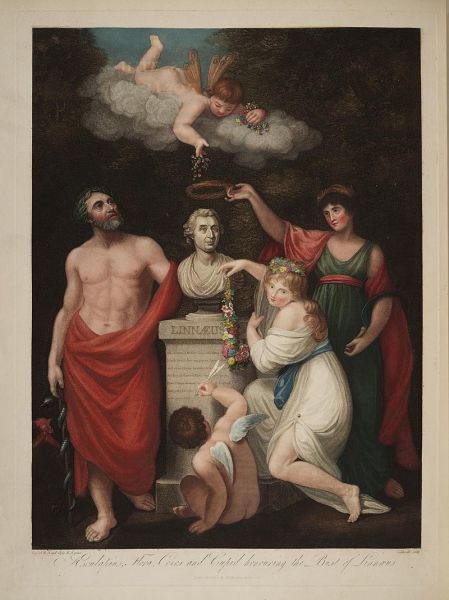 Асклепий, Флора, Церера и купидоны чествуют Линнея, собравшись у его бюста. Иллюстрация неизвестного художника из книги New illustration of the sexual system of Carolus von Linnaeus, 1807 г.