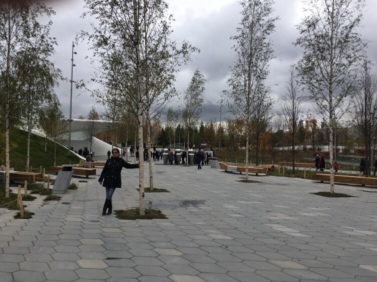 С виду берёзки русские, но все — исключительно «валютные» С виду берёзки русские, но все — исключительно «валютные»