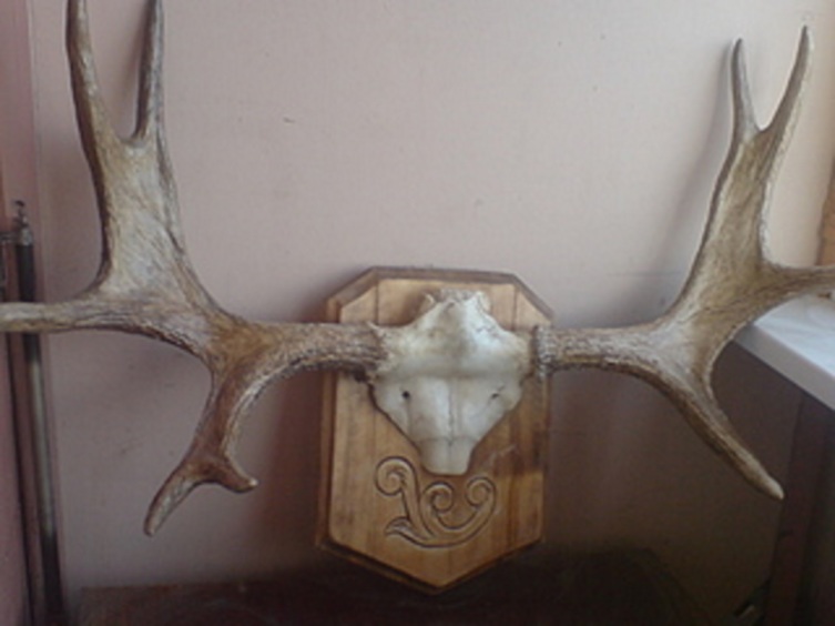 Байки старьевщицы: кому нужны старые вещи? Предметы интерьера