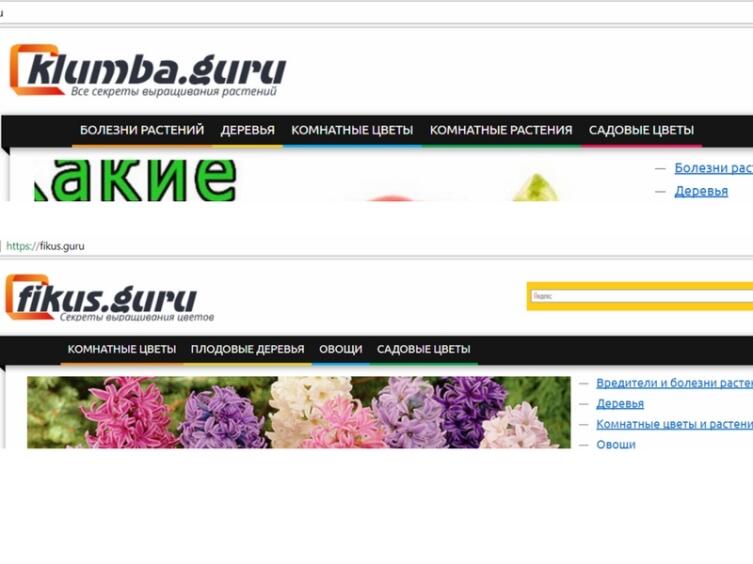 Зачем придумывать новый дизайн и рубрики? Можно взять и продублировать, — экономия!