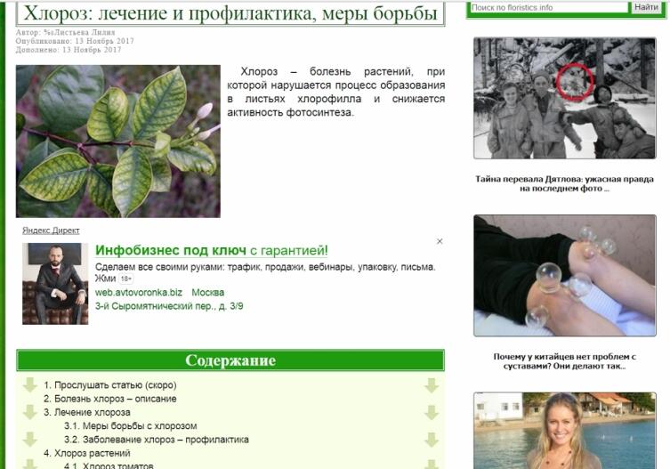 Пример обилия рекламы на сайте: хлороз, инфобизнес и лечение суставов на перевале Дятлова