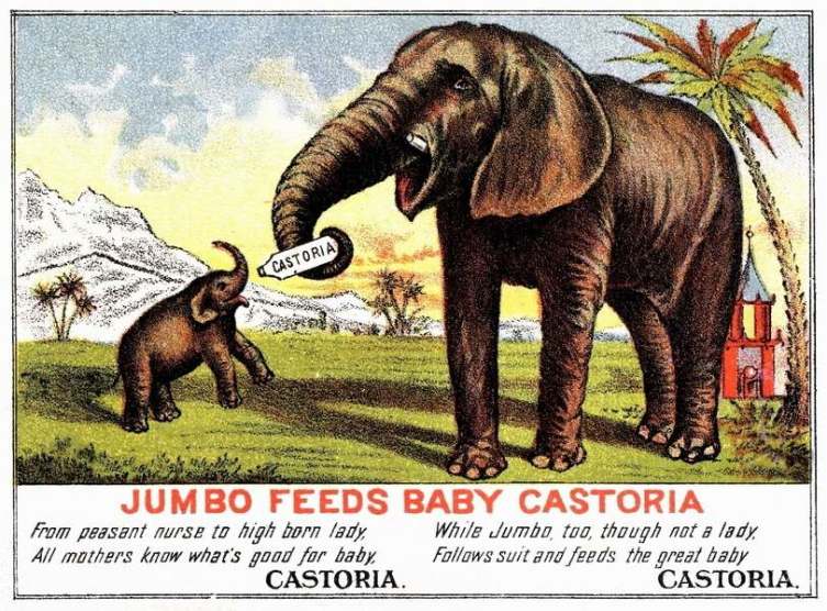 «Джамбо поит детку касторкой». Рекламная листовка фармацевтической компании Centaur, США, 1883 г.