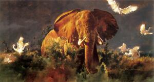 Слонопедия–6. Правда ли, что слоны ничего не забывают?