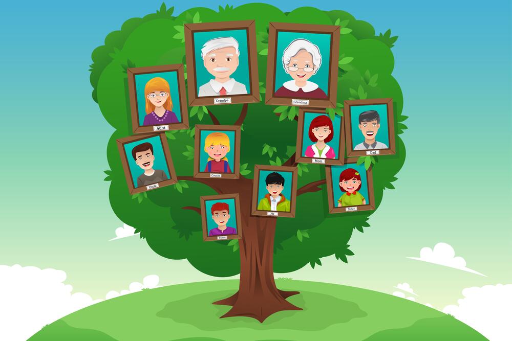 Как создать семейное дерево?