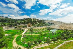 Как весна приходит в Израиль?