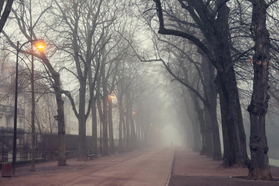 Как сон беду предсказал? Сатирический рассказ