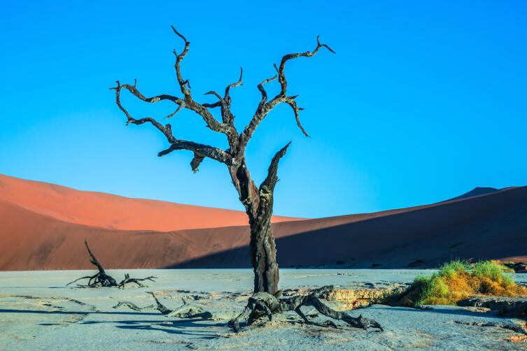 Где лежит ключ к молодости?