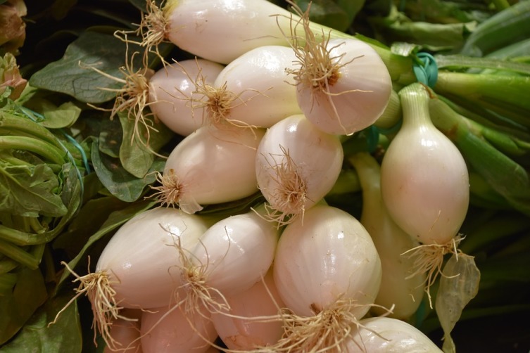 Как вырастить хороший урожай лука?