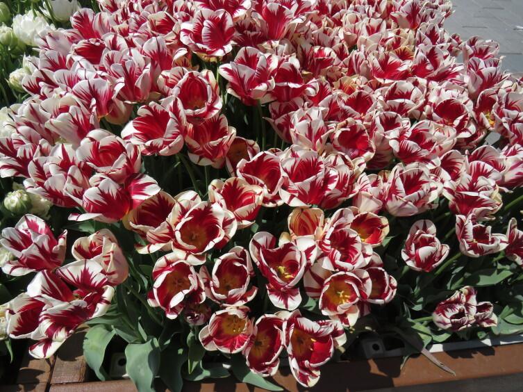 Площадь Таксим Площадь Таксим