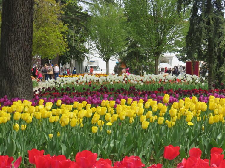 Парк Эмирган Парк Эмирган