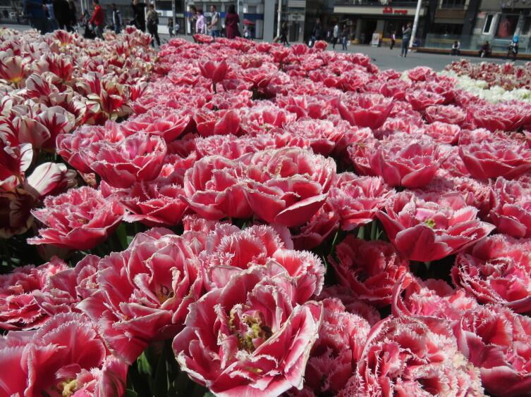 Площадь Таксим Площадь Таксим