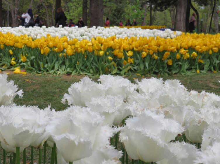 Парк Эмирган Парк Эмирган