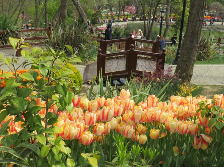 Парк Эмирган Парк Эмирган