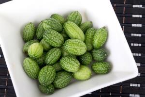 Что такое мелотрия и с чем ее едят? Экзотический сородич огурца