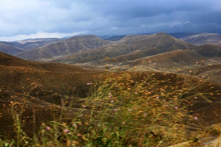 Окно в Армению. Заглянем?