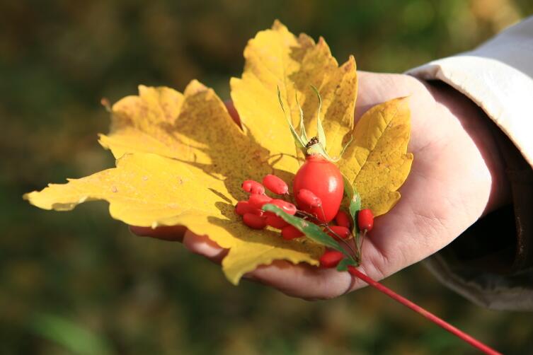 Осенние краски